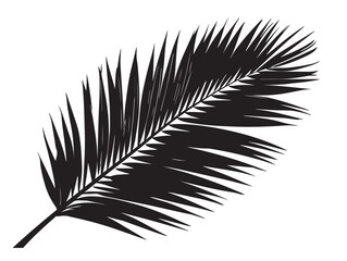 Fototapeta premium Exotic coconut palm leaf silhouette vector illustration
