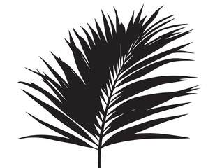 Obraz premium Lush coconut palm leaf silhouette natural illustration