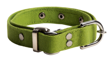 Olive green canvas dog collar with metal hardware