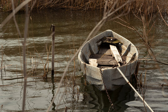 Fishing boat