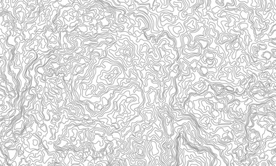 An abstract black-and-white pattern resembling a topographic map. Contour lines, minimalism, and geometry. Damascus steel pattern.