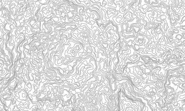 An abstract black-and-white pattern resembling a topographic map. Contour lines, minimalism, and geometry. Damascus steel pattern.