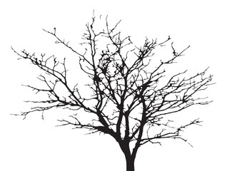 Isolated dead tree silhouette with bare branches illustration