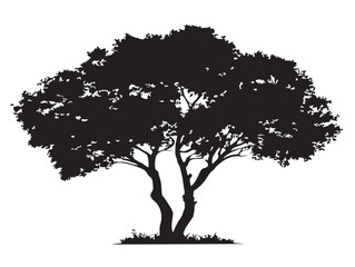 Fototapeta premium Twin trunk tree silhouette isolated for artistic vector art
