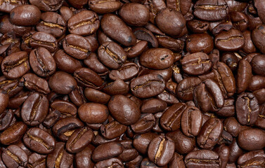 Scattered roasted coffee beans, full frame