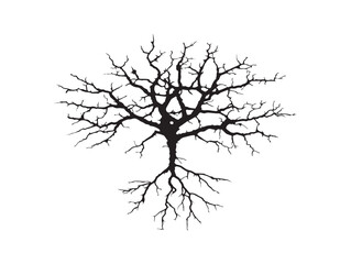 Dramatic cracked root system silhouette vector for bold artwork