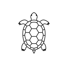 Obraz premium Outline illustration of a turtle from a top view perspective 