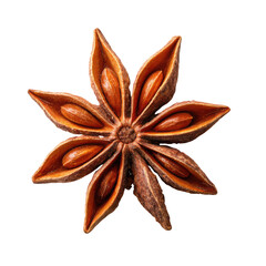 Close-up of a star anise spice, showing detailed textures and seeds