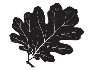 Creative tropical fig leaf silhouette vector illustration elegant design