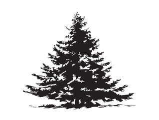 Beautiful fir tree winter silhouette vector illustration natural artwork