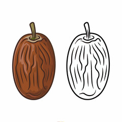 Dried Date Fruit Illustration with Outline Version for Coloring and Creative Projects Delicious and Healthy Food