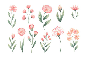 Soft pastel watercolor wildflower collection with stems and buds. Watercolor meadow flower composition in soft romantic tones.