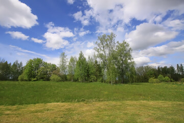 Tranquil spring landscape in the countryside.