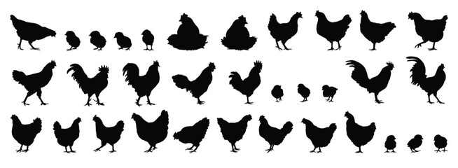 hen or chicken, rooster and chicks silhouette set. hen, rooster and chicks isolated farm animal silhouette icon vector collection © Yanka