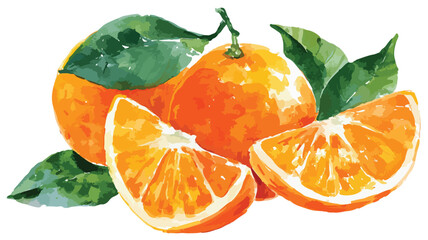 Vintage Watercolor Orange Fruit Isolated on White Background