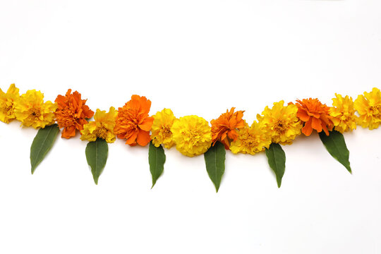 Yellow orange marigold flowers. Indian traditional floral festive garland toran. Zendu flowers, green leaves isolated on white background. Party decor. Diwali, Halloween. Dia de los Muertos holiday.