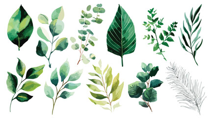 Exquisite Watercolor Set of Lush Green Leaves and Branches Illustration