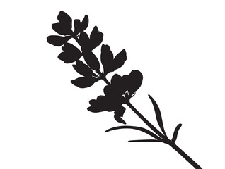 Minimal lavender flower silhouette artwork for decoration