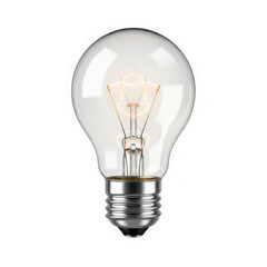 Clear Incandescent Light Bulb with Visible Filament