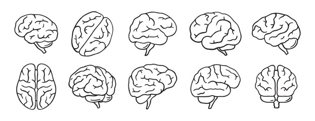 brain icon doodle hand drawn set. Outline drawing brain line clipart symbol collection