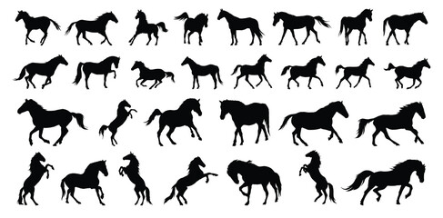 horse silhouette set. horse different poses isolated farm animal silhouette icon vector collection