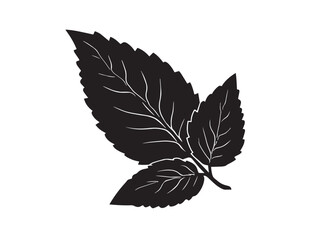 Fresh mint leaf silhouette design for herbal artwork concepts