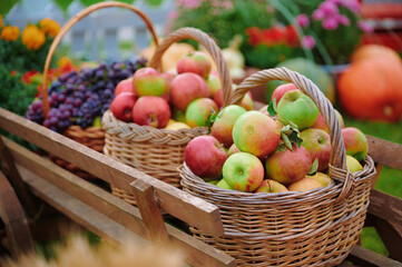 Fresh apples in baskets on wooden cart outdoors