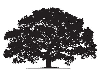 Stunning oak tree silhouette illustration for creative graphic projects