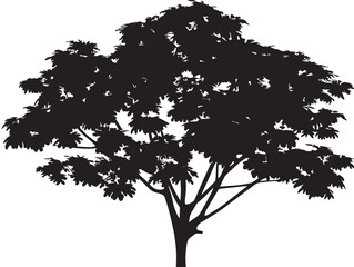 Elegant papaya tree silhouette exotic botanical vector element