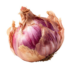 Close-up of a whole red onion.  Its outer layers are a light beige/tan, while the bulb itself is a deep, vibrant purple-red.