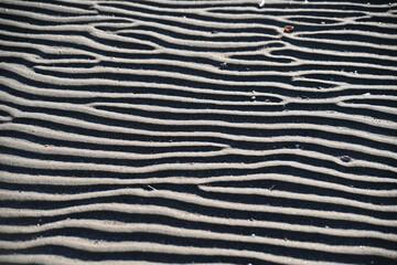 Abstract Sand Beach  Ripple Seamless Texture Pattern Macro