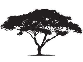 Fototapeta premium Decorative Savannah Tree Silhouette for Beautiful Wall Art