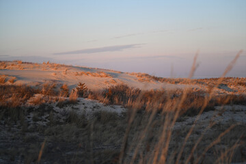 Coastal Sunset Landscape over sand dune with grasses on beach