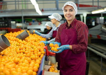 Smiling young female sorter working on citrus sorting line in agricultural produce processing...
