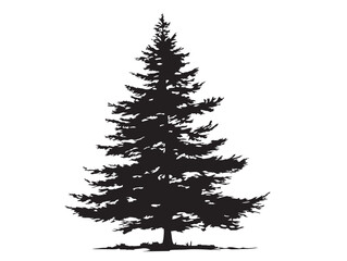 Tall Spruce Tree Silhouette Illustration for Forest Landscape Art