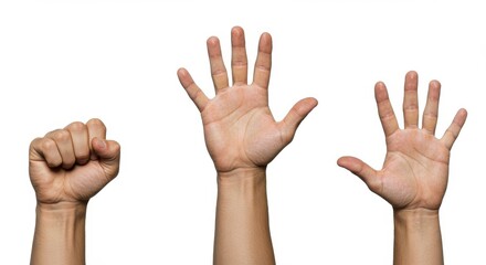 Three human hands making gestures a closed fist, a palm with fingers spread, and a hand with fingers extended
