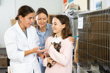 Interested young female volunteer helping smiling preteen girl visiting animal shelter with her mother while choosing cute kitten for adoption © JackF