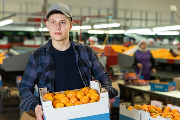 Portrait of positive young guy working at fruit sorting and packaging factory, stacking boxes with...
