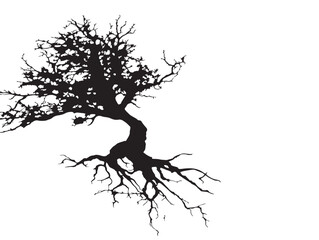 Decorative tree root wall silhouette vector illustration with dramatic appeal