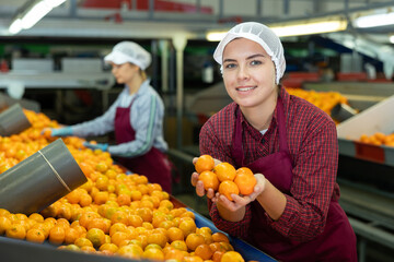 Glad positive cheerful female worker on citrus sorting line at warehouse. Сhecking quality of tangerines.