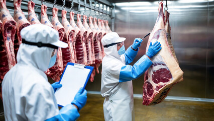 Group of workers in full protective uniforms inspecting meat for infection and contamination in cold storage, concept of disease control