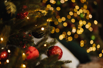 Close up of red christmas baubles hanging on fir tree branch with golden bokeh lights in background. Concept of holiday, christmas, new year, festive decoration, winter celebration.