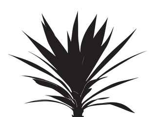 Bold yucca plant silhouette illustration with unique decorative style  