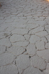dry cracked ground