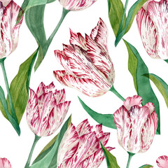  A seamless pattern with hand-drawn watercolor tulips. A fresh and elegant design, perfect for textiles, wallpaper, wrapping paper, and decor.