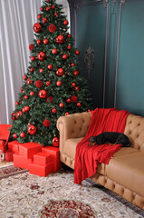 cachorro fofo em decoração de natal 