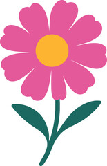 Cosmos flower illustration in detailed vector style on white background.