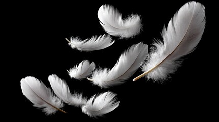 Obraz premium Series of white feathers floating in the air