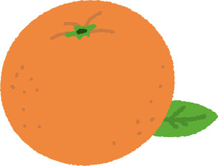 손으로 그린 감귤 또는 귤 일러스트