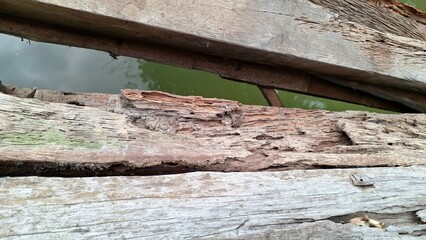 Termite Infestation on Wooden Furniture Material, Home Problem and Pest Control Concept